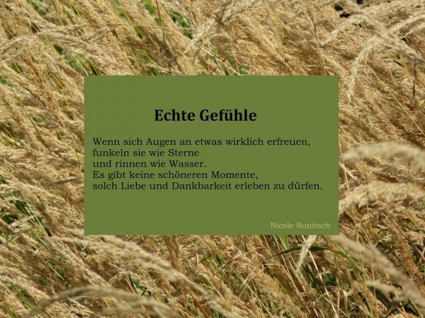 Bildgedicht: Echte Gefühle