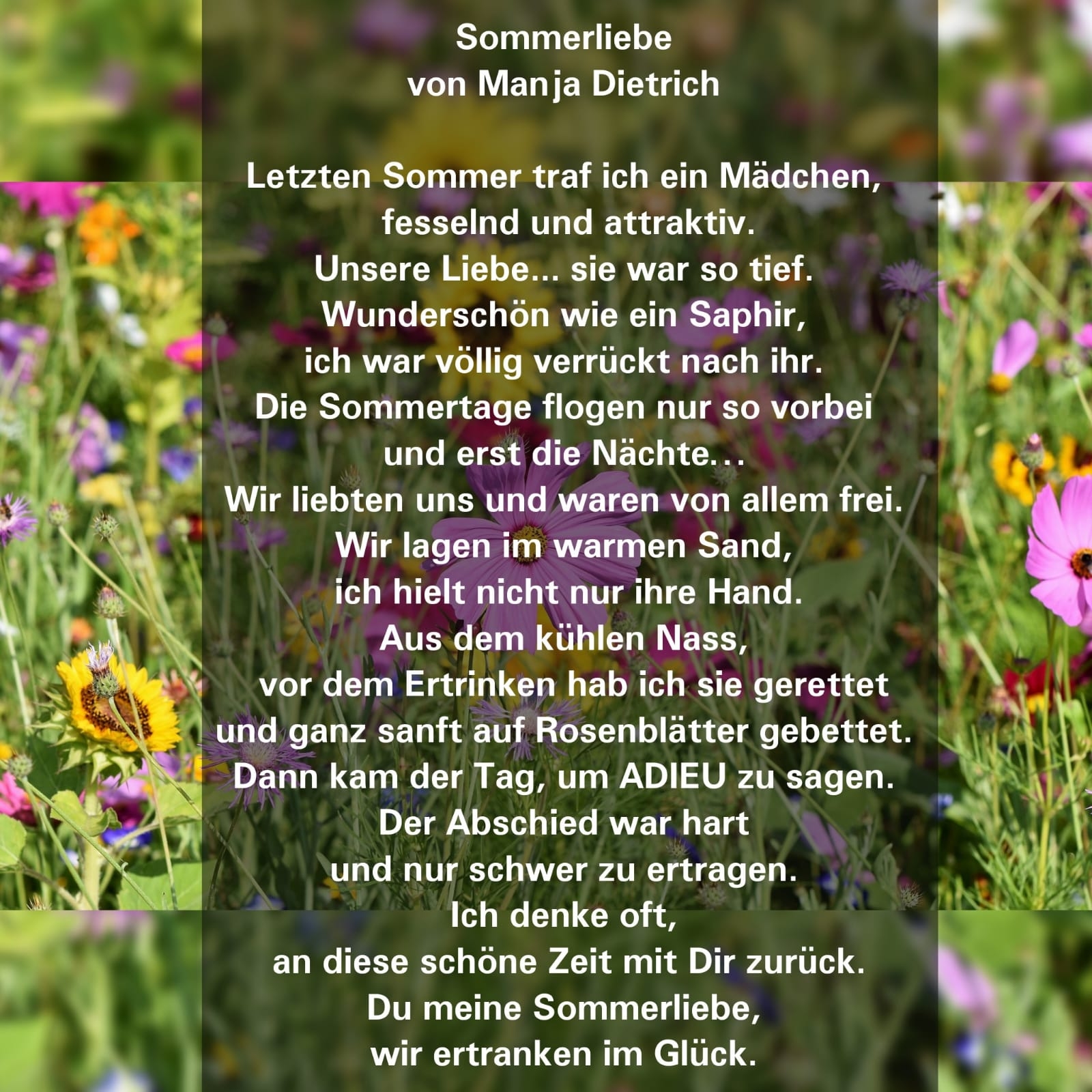 Bildgedicht: Sommerliebe 