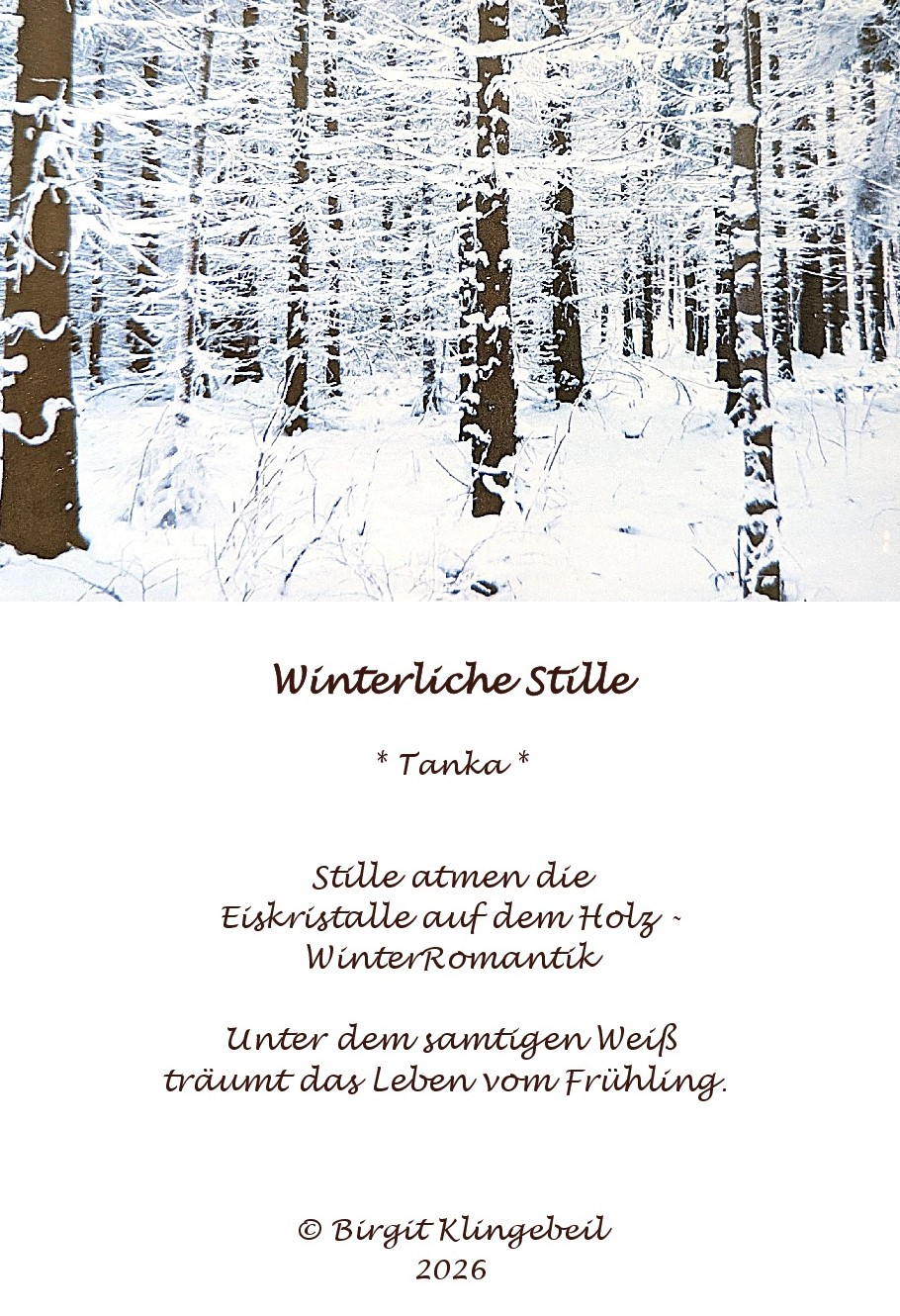 Bildgedicht: Winterliche Stille