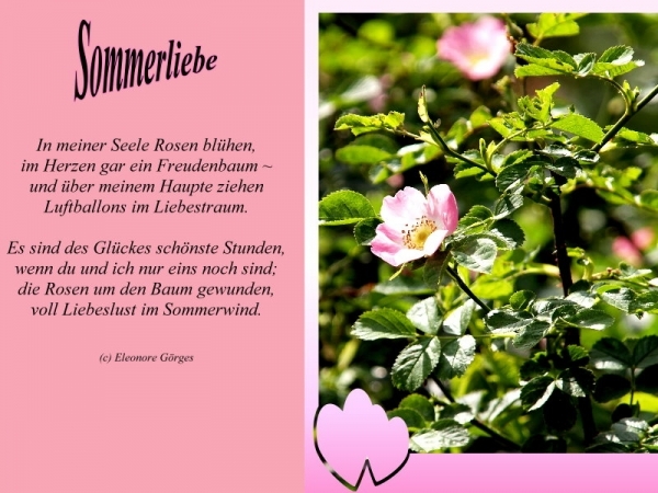 Bildgedicht: Sommerliebe