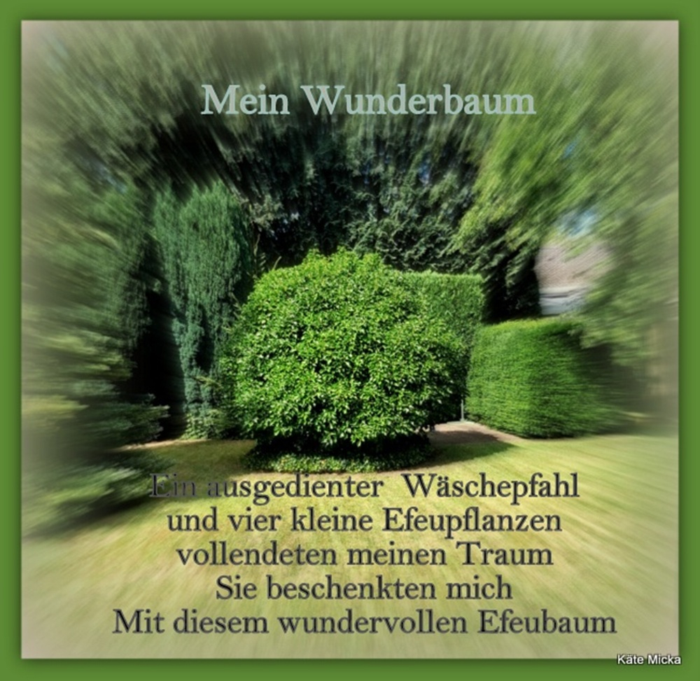 Bildgedicht: Mein Wunderbaum