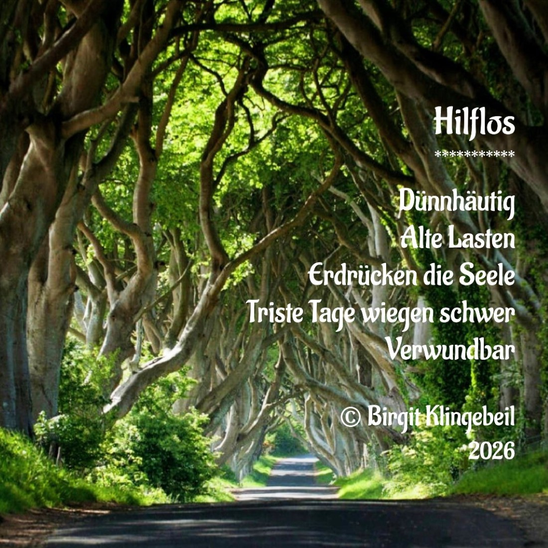 Bildgedicht: Hilflos