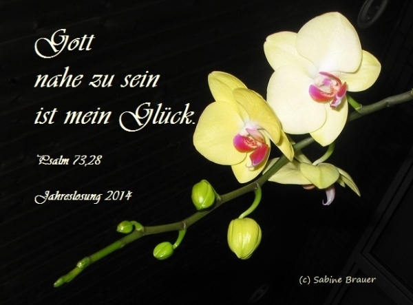 Bildgedicht: Jahreslosung 2014 Bild 1