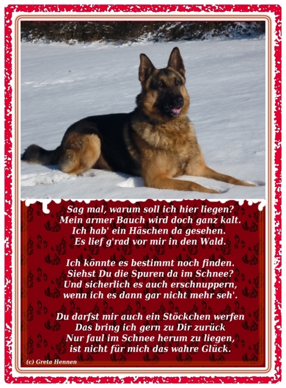 Bildgedicht: Tim im Schnee