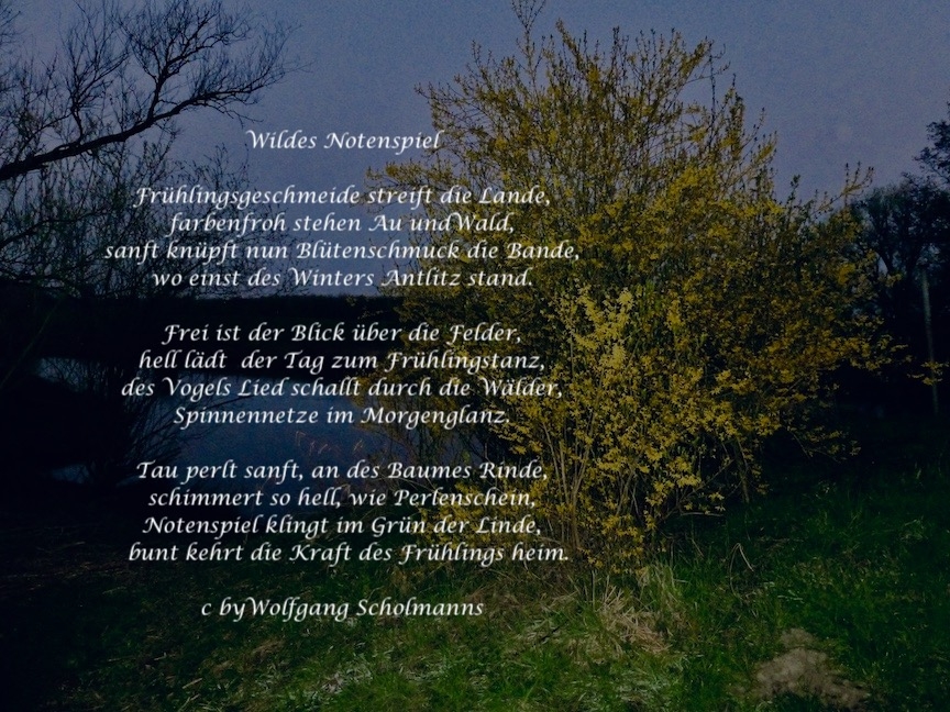 Bildgedicht: Wildes Notenspiel