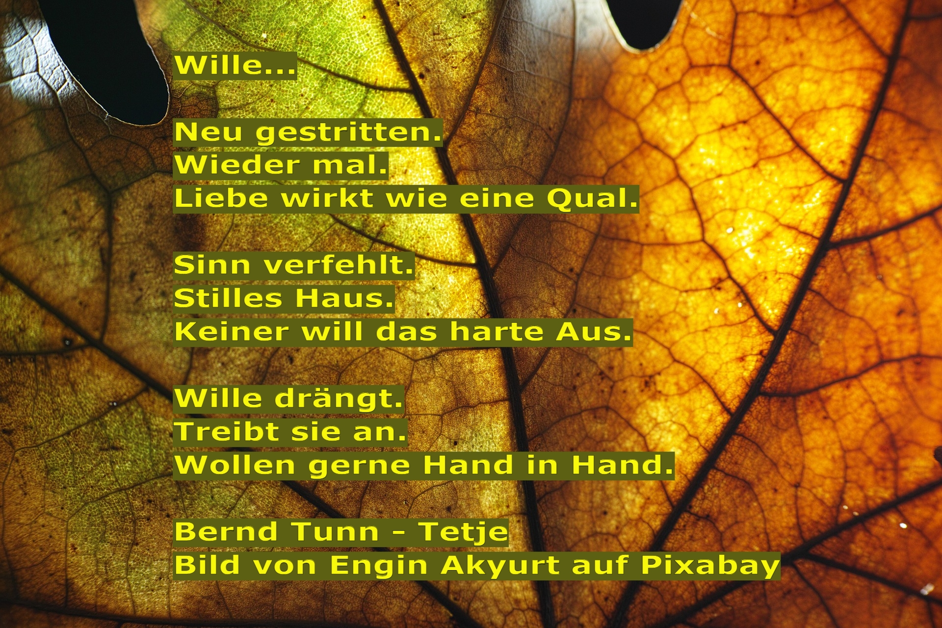 Bildgedicht: Wille...