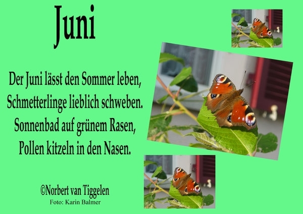 Bildgedicht: Juni