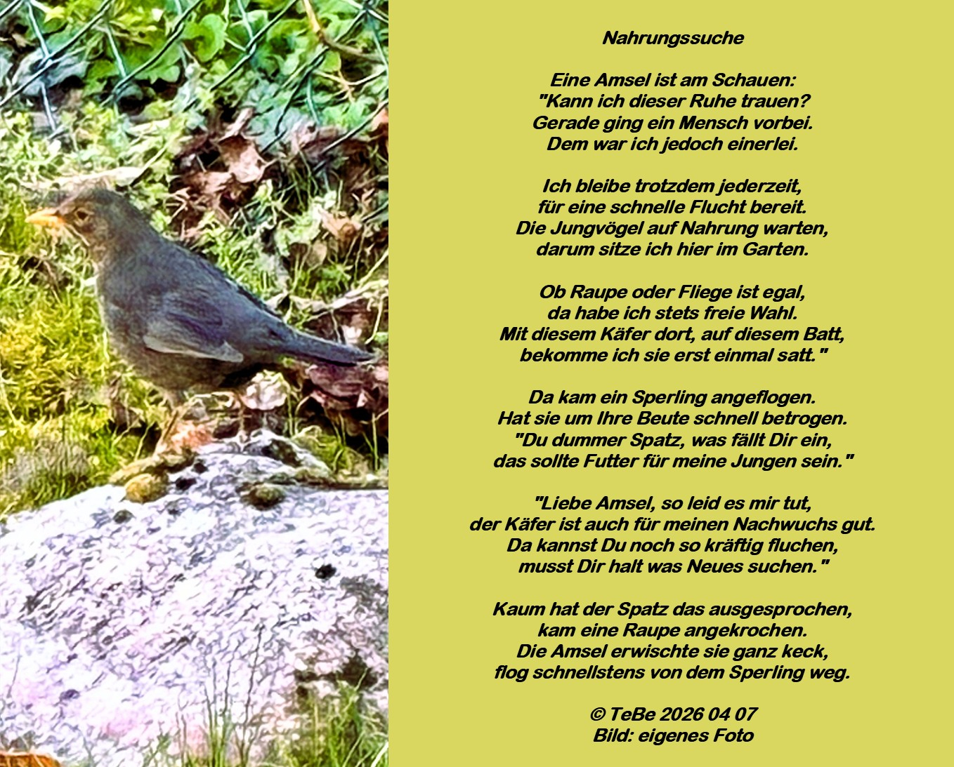 Bildgedicht: Nahrungssuche