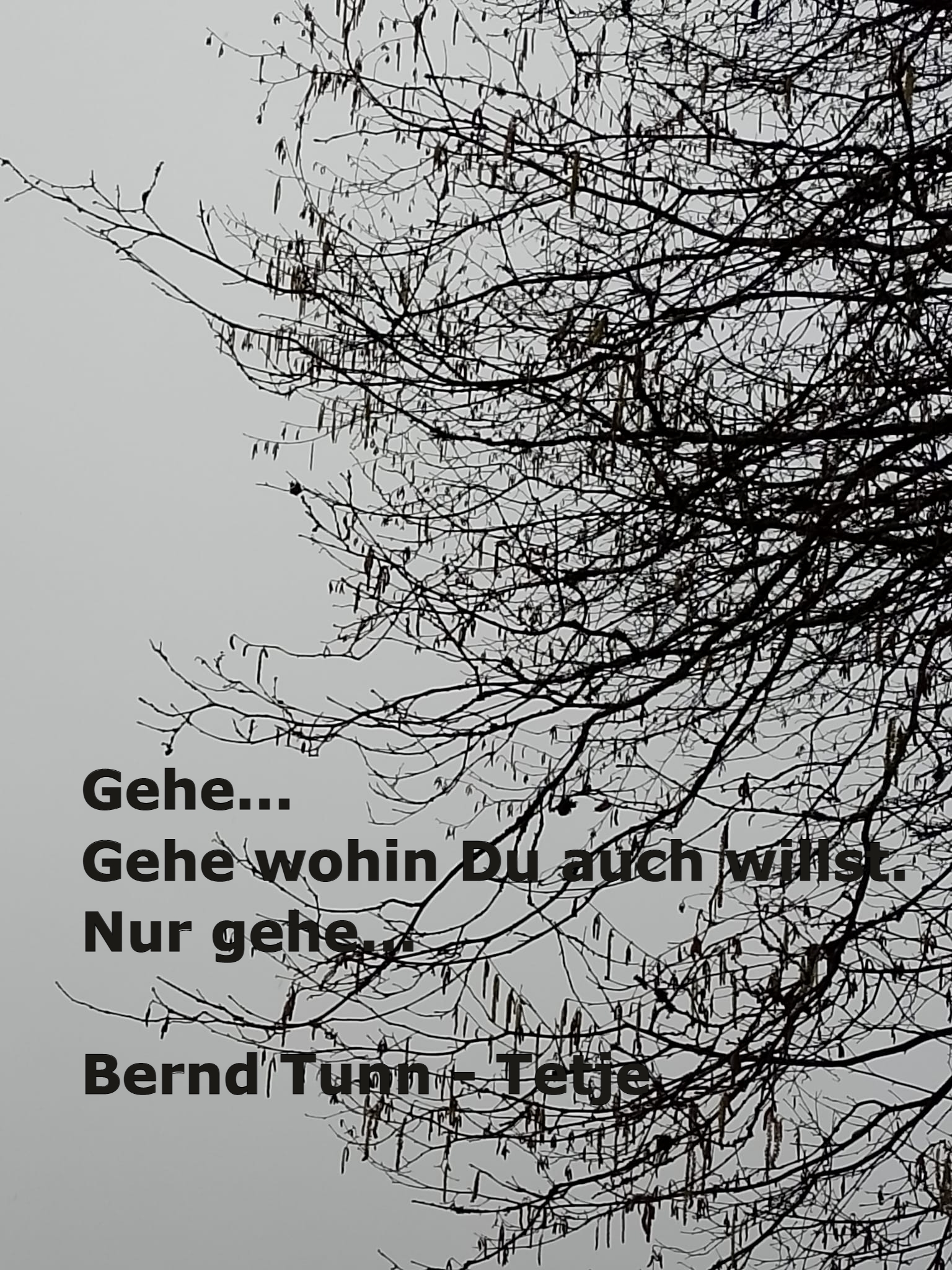 Bildgedicht: Gehe...