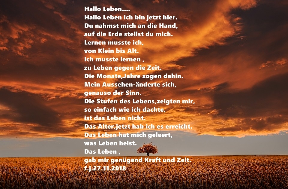 Bildgedicht: Hallo Leben