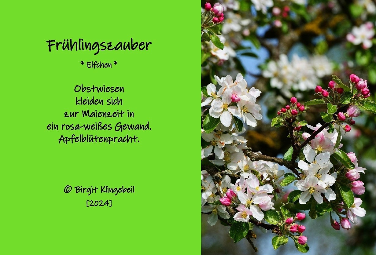 Bildgedicht: Fr&uuml;hlingszauber