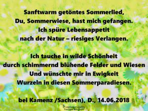 Vorschau Bildgedicht: Sommerwiese