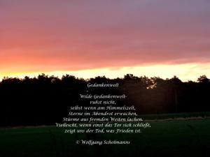 Vorschau Bildgedicht: Wilde Gedankenwelt