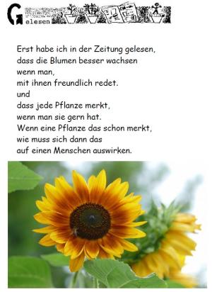 Vorschau Bildgedicht: Gelesen