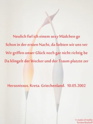 Vorschau Bildgedicht: Neulich fiel ich einem sexy Mädchen ge