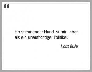 Vorschau Bildgedicht: "Ein streunender Hund"