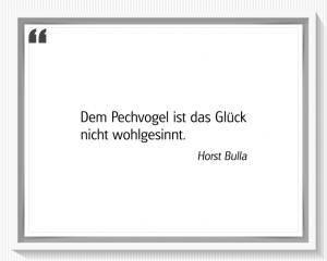 Vorschau Bildgedicht: "Der Pechvogel"