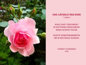 Vorschau Bildgedicht: Das Lächeln der Rose