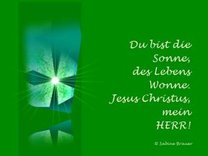 Vorschau Bildgedicht: Du bist