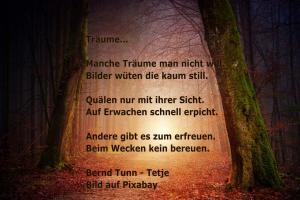 Vorschau Bildgedicht: Manche Träume...