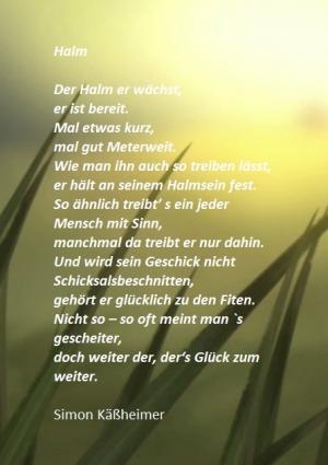 Vorschau Bildgedicht: Halm
