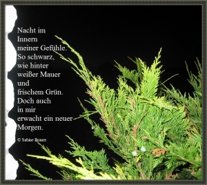 Vorschau Bildgedicht: Nacht