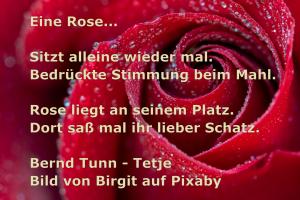 Vorschau Bildgedicht: Eine Rose...