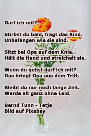 Vorschau Bildgedicht: Darf ich mit?