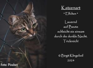 Vorschau Bildgedicht: Katzenart