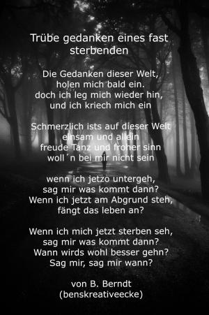 Vorschau Bildgedicht: Trübe gedanken eines fast sterbenden