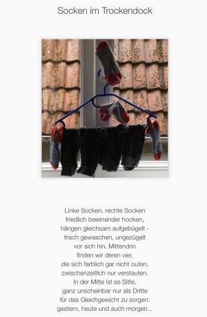 Vorschau Bildgedicht: Socken im Trockendock