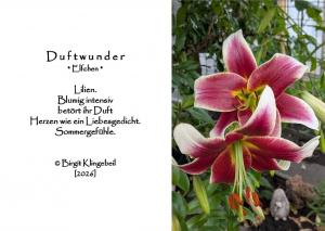 Vorschau Bildgedicht: Duftwunder