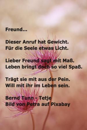Vorschau Bildgedicht: Freund...