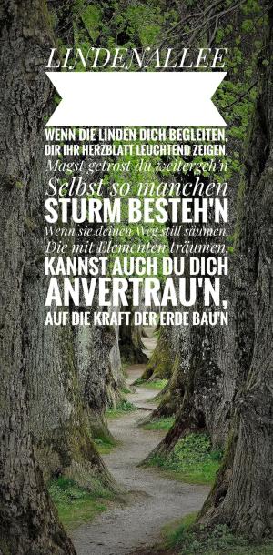 Vorschau Bildgedicht: LINDENALLEE