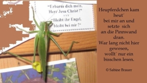 Vorschau Bildgedicht: Besuch aus dem Garten