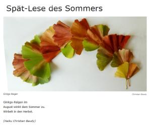 Vorschau Bildgedicht: Spät-Lese des Sommers