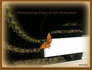 Vorschau Bildgedicht: Schmetterling 
