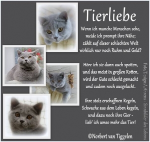 Vorschau Bildgedicht: Tierliebe