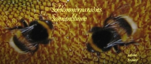 Vorschau Bildgedicht: Hummelchen