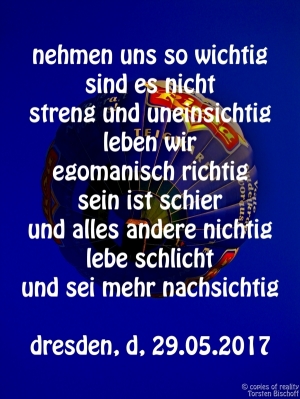 Vorschau Bildgedicht: "So wichtig"