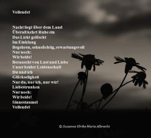 Vorschau Bildgedicht: Vollendet