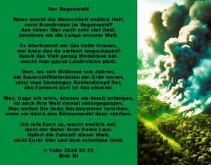 Vorschau Bildgedicht: Der Regenwald