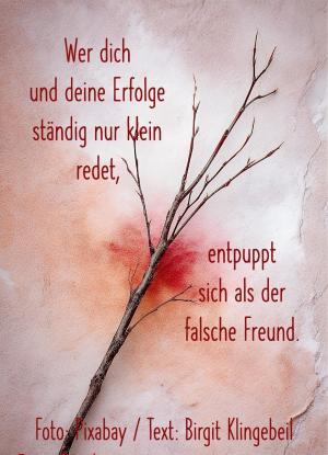 Vorschau Bildgedicht: Der falsche Freund
