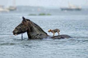 Vorschau Bildgedicht: Urlaub-