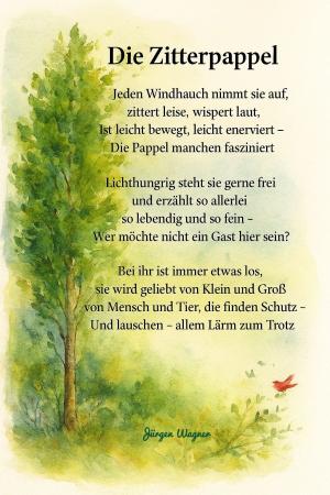 Vorschau Bildgedicht: Die Zitterpappel - Baum des Jahres 2026