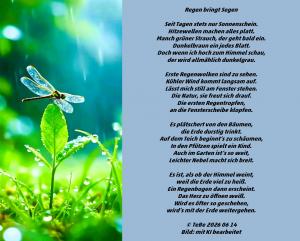Vorschau Bildgedicht: Regen bringt Segen