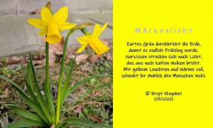 Vorschau Bildgedicht: M&auml;rzenlicht