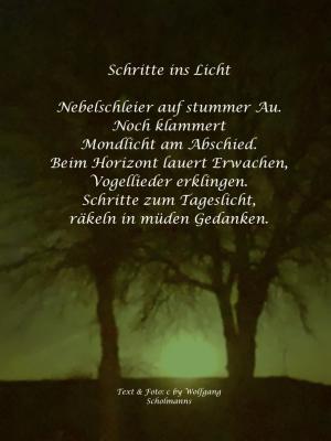 Vorschau Bildgedicht: Schritte ins Licht