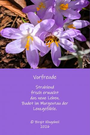 Vorschau Bildgedicht: Vorfreude