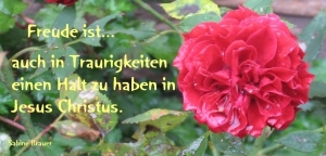 Vorschau Bildgedicht: Der Halt